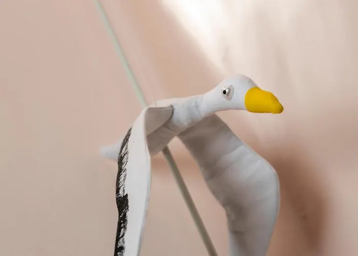 Dei Fiori Ρόβινι