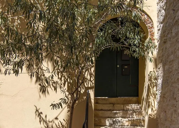 Dei Fiori * Ρόβινι